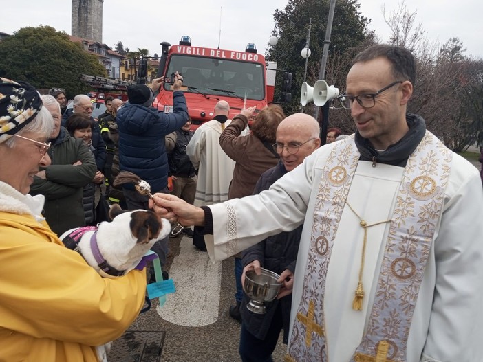 Verbania celebra Sant’Antonio Abata: benedizione di animali e mezzi FOTO