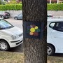 A Omegna targhette colorate sulle piante del lungolago per dare il benvenuto ai turisti