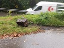 Masso cade sulla strada che porta a Quarna