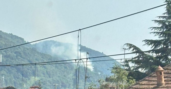 Incendio boschivo ad Agrano, in azione i vigili del fuoco