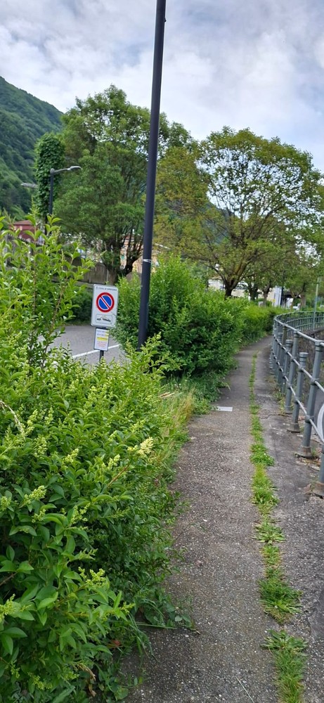 Omegna, nuovo scontro sul verde alla stazione: Songa replica all’assessore Gemelli Omegna, nuovo scontro sul verde alla stazione: Songa replica all’assessore Gemelli