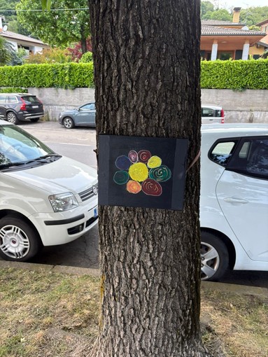 A Omegna targhette colorate sulle piante del lungolago per dare il benvenuto ai turisti