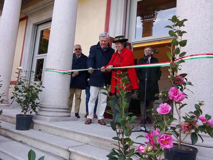 Verbania celebra la camelia: inaugurata a Villa Giulia la 58ª edizione della mostra