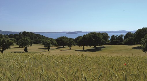 Agroforestazione e cambiamento climatico, a Verbania due giornate di formazione