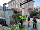 Omegna, pulizia straordinaria del rio San Rocco