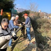 Omegna, gli 'Amici di Bagnella' al lavoro sul sentiero della Fiumetta