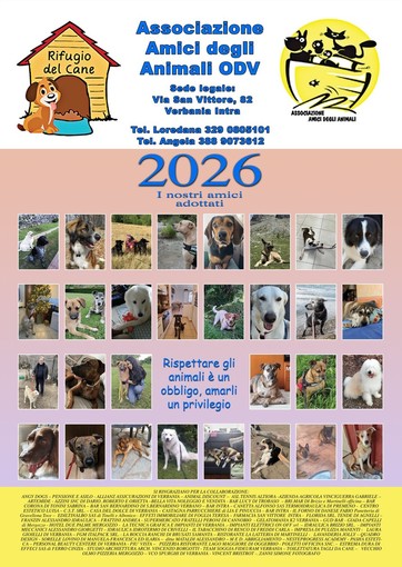In vendita il calendario 2026 degli “Amici degli Animali” con le foto dei cani adottati