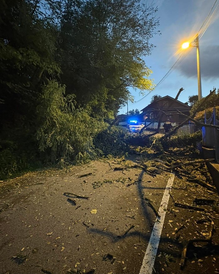 Ramate, albero cade sulla carreggiata: chiusa al traffico via Casale