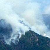 Incendi nel Vco, due Canadair in azione. Candiani: "Chiesti rinforzi, situazione molto impegnativa" Incendi nel Vco, due Canadair in azione. Candiani: "Chiesti rinforzi, situazione molto impegnativa"