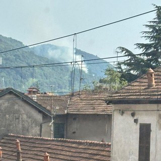 Incendio boschivo ad Agrano, in azione i vigili del fuoco