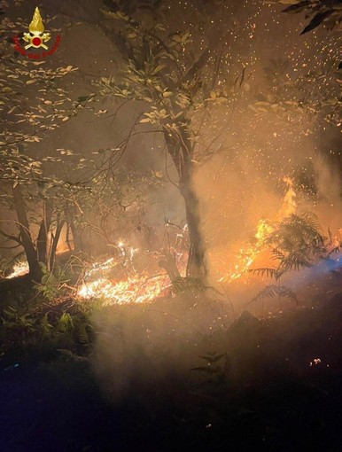 Incendi nel Vco, Vigili del fuoco impegnati su più fronti Incendi nel Vco, Vigili del fuoco impegnati su più fronti