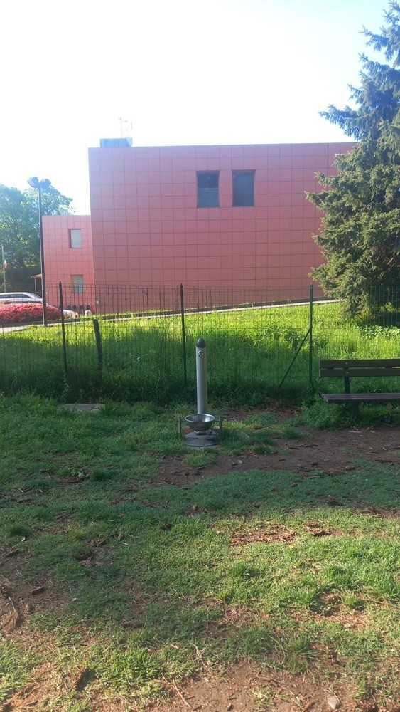 Crusinallo, guasta la fontanella nell’area cani: appello dei proprietari per la riparazione