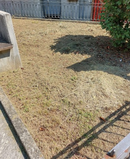 Omegna, nuove polemiche sulla manutenzione dell’area del monumento a Beltrami