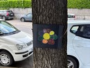 A Omegna targhette colorate sulle piante del lungolago per dare il benvenuto ai turisti A Omegna targhette colorate sulle piante del lungolago per dare il benvenuto ai turisti