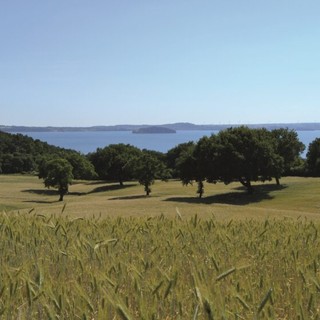 Agroforestazione e cambiamento climatico, a Verbania due giornate di formazione