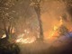 Incendi nel Vco, Vigili del fuoco impegnati su più fronti Incendi nel Vco, Vigili del fuoco impegnati su più fronti