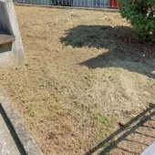 Omegna, nuove polemiche sulla manutenzione dell’area del monumento a Beltrami