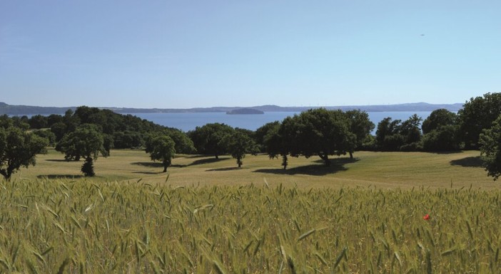 Agroforestazione e cambiamento climatico, a Verbania due giornate di formazione