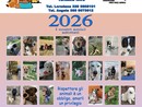 In vendita il calendario 2026 degli “Amici degli Animali” con le foto dei cani adottati In vendita il calendario 2026 degli “Amici degli Animali” con le foto dei cani adottati