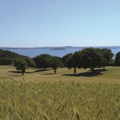 Agroforestazione e cambiamento climatico, a Verbania due giornate di formazione