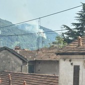Incendio boschivo ad Agrano, in azione i vigili del fuoco