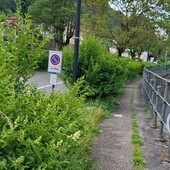 Omegna, nuovo scontro sul verde alla stazione: Songa replica all’assessore Gemelli Omegna, nuovo scontro sul verde alla stazione: Songa replica all’assessore Gemelli