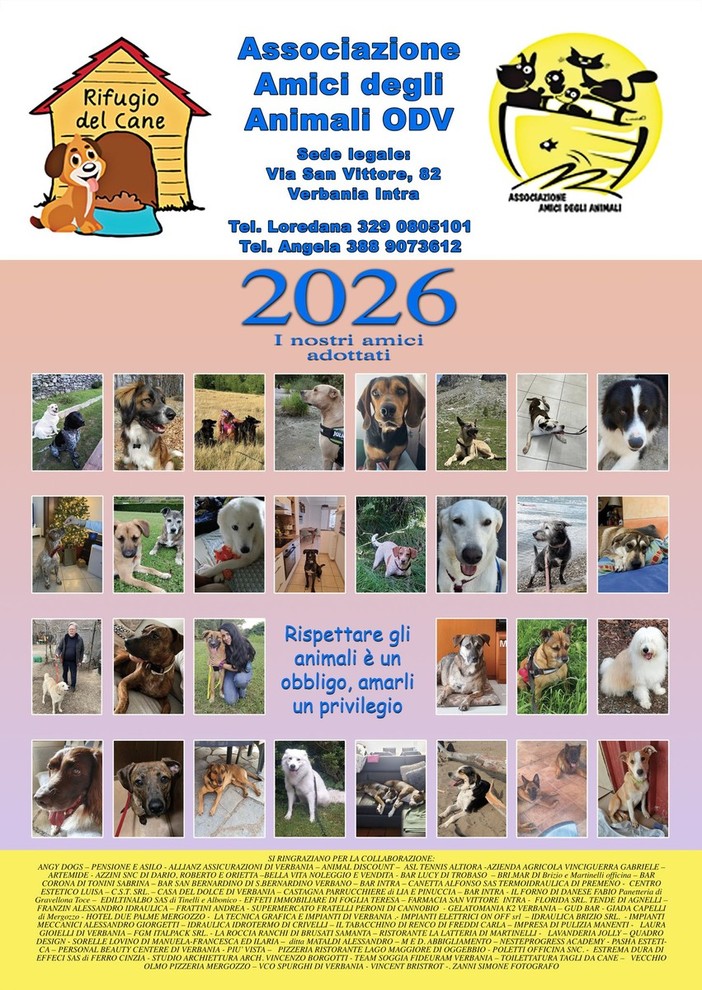 In vendita il calendario 2026 degli “Amici degli Animali” con le foto dei cani adottati