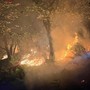 Incendi nel Vco, Vigili del fuoco impegnati su più fronti Incendi nel Vco, Vigili del fuoco impegnati su più fronti