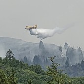 Incendi, resta alta l’attenzione in Val Grande e a Calasca Incendi, resta alta l’attenzione in Val Grande e a Calasca