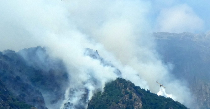 Incendi nel Vco, due Canadair in azione. Candiani: "Chiesti rinforzi, situazione molto impegnativa" Incendi nel Vco, due Canadair in azione. Candiani: "Chiesti rinforzi, situazione molto impegnativa"