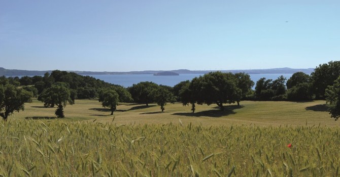 Agroforestazione e cambiamento climatico, a Verbania due giornate di formazione