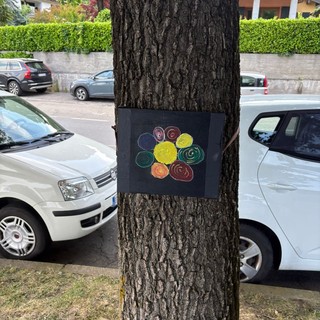 A Omegna targhette colorate sulle piante del lungolago per dare il benvenuto ai turisti