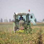 Carenza idrica, Protopapa: "Massimo sostegno al progetto della regione" Carenza idrica, Protopapa: "Massimo sostegno al progetto della regione"