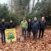 Giornata nazionale degli alberi: messa a dimora la prima pianta donata dal M5S
