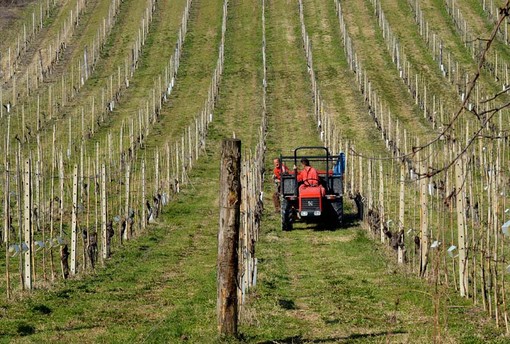 Indennità agli agricoltori di montagna, nuovo bando in Regione