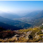 Alpeggi a secco, animali verso valle con un mese di anticipo Alpeggi a secco, animali verso valle con un mese di anticipo