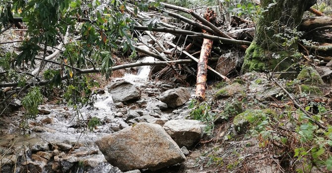 Torrente Stronetta, un investimento da 3,7 milioni per la messa in sicurezza dopo l'alluvione Torrente Stronetta, un investimento da 3,7 milioni per la messa in sicurezza dopo l'alluvione