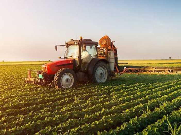 Anticipi Pac da luglio, Coldiretti: "Una boccata d'ossigeno per le imprese agricole"