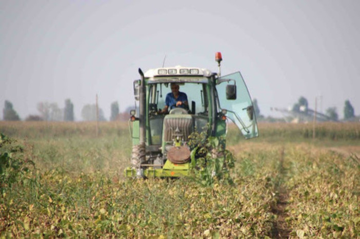 Qualità produzioni agroalimentari, bando regionale da 1,8 milioni di euro