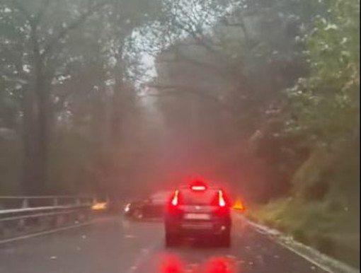 Violento temporale sul Verbano, albero cade sulla strada per Someraro Violento temporale sul Verbano, albero cade sulla strada per Someraro