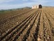 Agricoltura, in arrivo i bandi su misure agroambientali e biologico del Psr Piemonte Agricoltura, in arrivo i bandi su misure agroambientali e biologico del Psr Piemonte