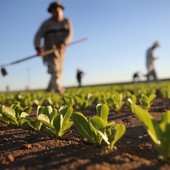 "Gli agricoltori non sono inutili, garantiscono cibo e presidiano il territorio" "Gli agricoltori non sono inutili, garantiscono cibo e presidiano il territorio"