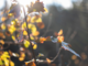Ciao ciao estate, diamo il benvenuto all'autunno! Ciao ciao estate, diamo il benvenuto all'autunno!