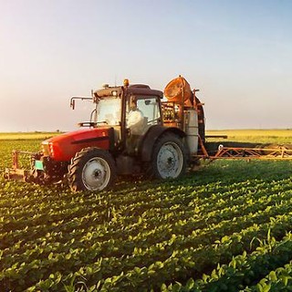 Anticipi Pac da luglio, Coldiretti: "Una boccata d'ossigeno per le imprese agricole"
