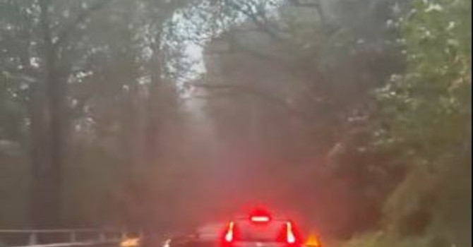 Violento temporale sul Verbano, albero cade sulla strada per Someraro Violento temporale sul Verbano, albero cade sulla strada per Someraro