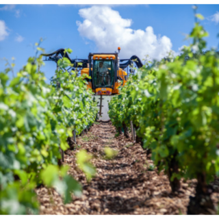 Coldiretti Piemonte: sbloccati 55 milioni per la gestione del rischio nelle imprese agricole