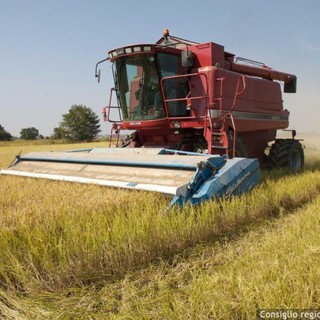 Marco Protopapa (Lega): “Difendere l’agricoltura italiana dalle derive ideologiche della nuova Pac europea”