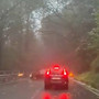 Violento temporale sul Verbano, albero cade sulla strada per Someraro Violento temporale sul Verbano, albero cade sulla strada per Someraro