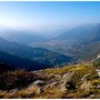 Alpeggi a secco, animali verso valle con un mese di anticipo Alpeggi a secco, animali verso valle con un mese di anticipo
