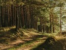 L'appello alla Regione che verrà: &quot;Più attenzione per i tecnici agronomi ed esperti forestali&quot;